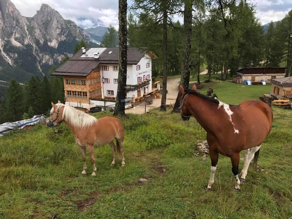 Rifugio Negritella Pozza di Fassa Ngoại thất bức ảnh